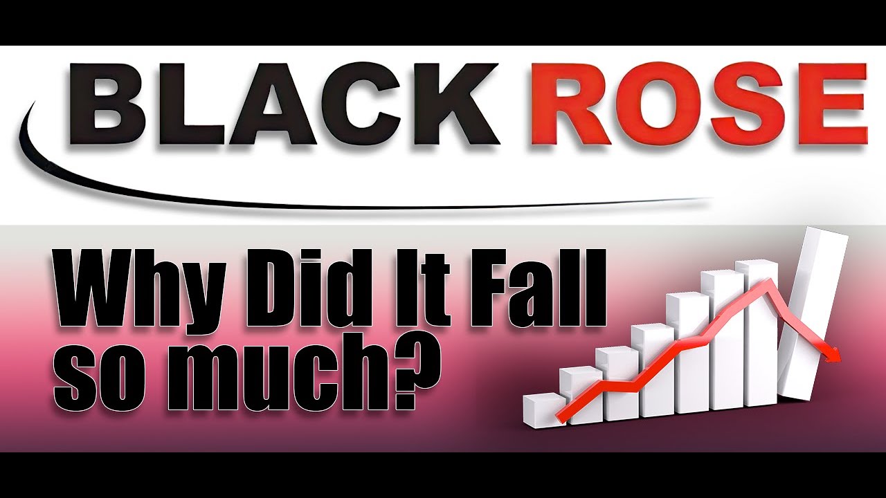 Blackrose Industries | Share Levels for Long term Investment