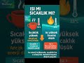 Isı mı Sıcaklık mı? #ısı #sıcaklık #kinetik #enerji #madde #molekül #fincan #çay #göl #biyoloji