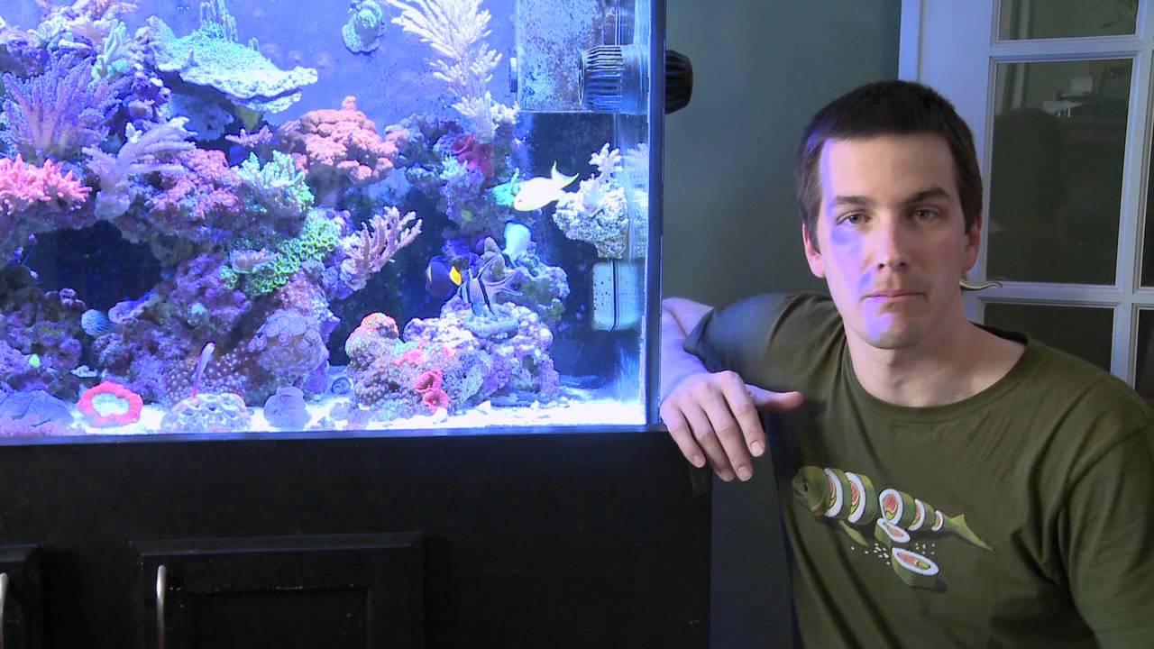 how to videos on tiktok Mr. Saltwater Tank TV Friday AM Quick Tip #50: Sand Is On My Diet