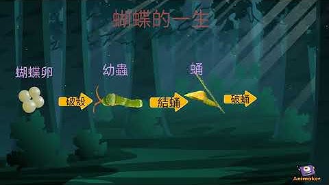 動物們的一生735032