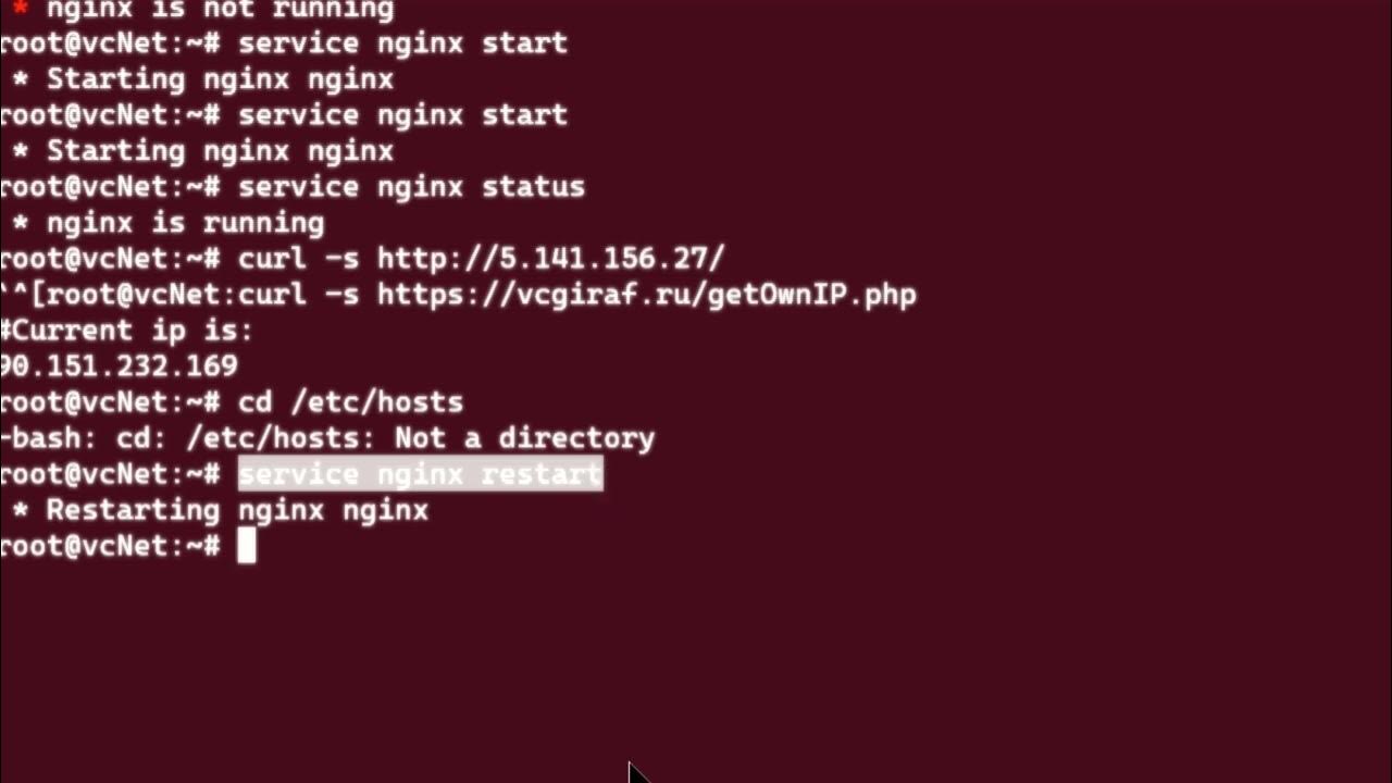 Nginx domain