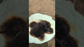 Demilec Hfo 2Lb Foam