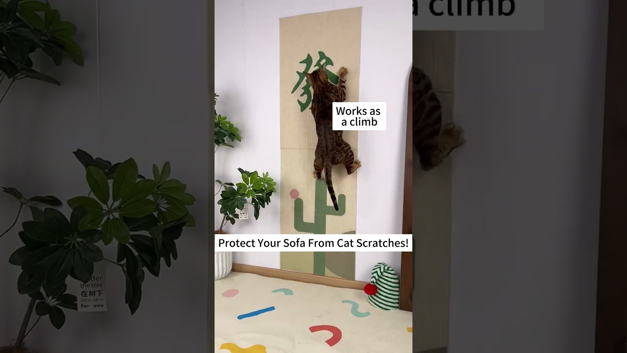 How to Keep Your Sofa Scratch-Free – Cat Couch Protector