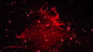 Quantum Ghosts