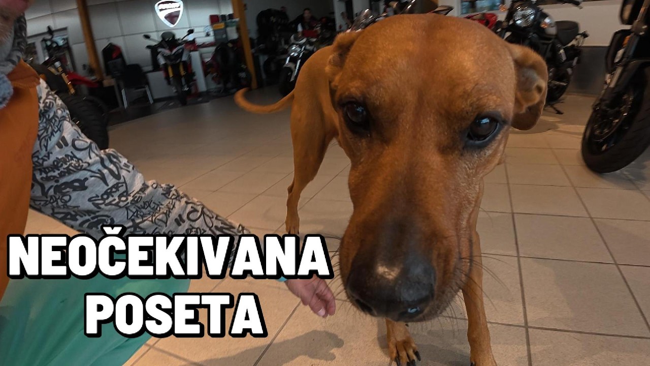 Krenuli smo dalje, a završili u Ducati salonu 🇦🇹