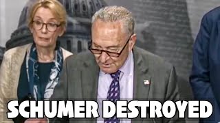 Reporter Just ROASTED Chuck Schumer With One Brutal Question