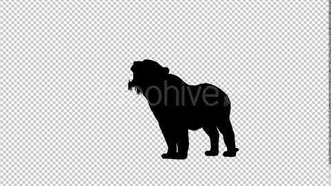 Tiger Howl Silhouette | Motion Graphics - Envato elements