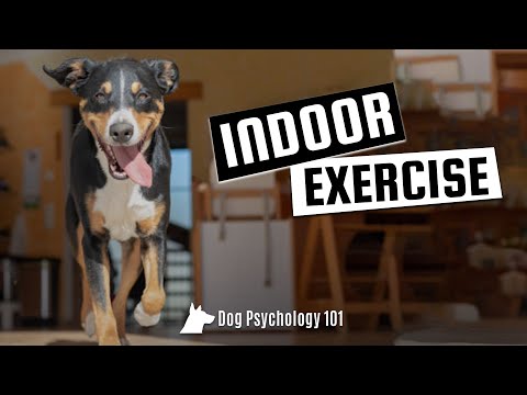 How to Exercise
