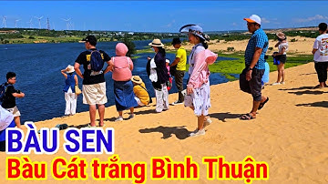 vui chơi trên bàu sen bàu cát trắng Bình Thuận 💥 du lịch khám phá đồi cát trắng Bình Thuận