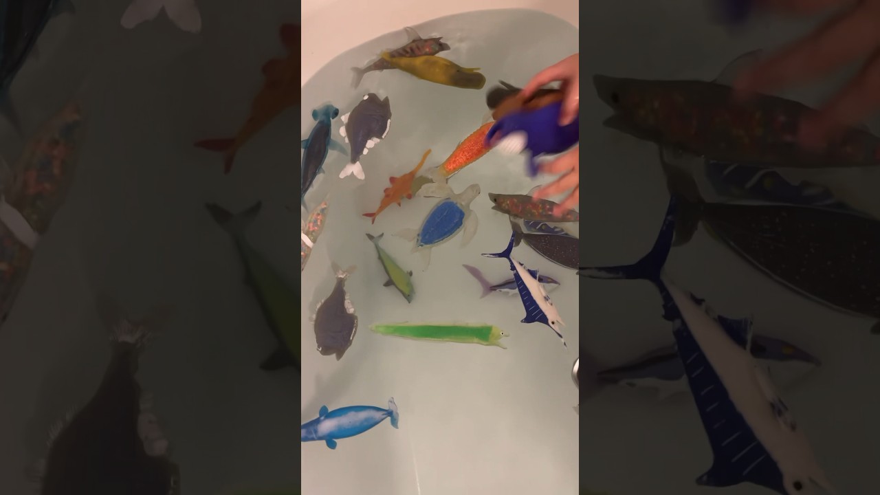 お風呂水族館♪ 