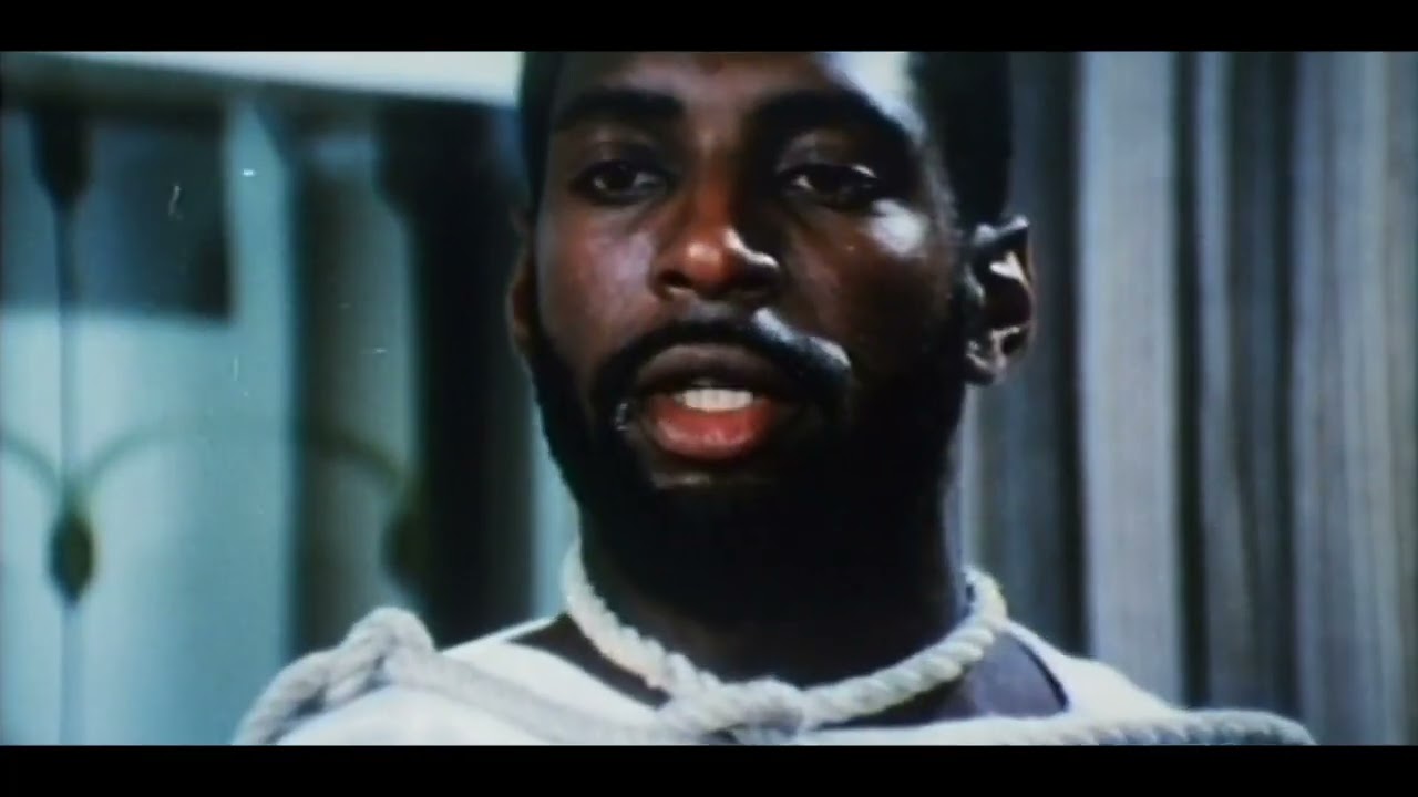 The Super Ninja (1984) The Short Bus Of Ninja Movies