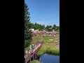 Sergey Doronin в прямом эфире!