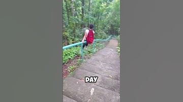 Daily 2000 Stair Slide 🛝 (TT/@janthomassandvik)