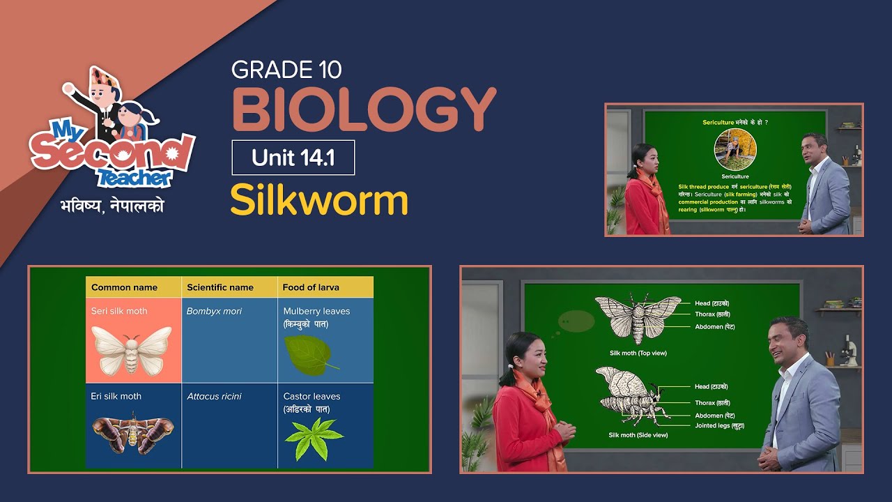 14.1 Silkworm | SEE Biology | mySecondTeacher Nepal