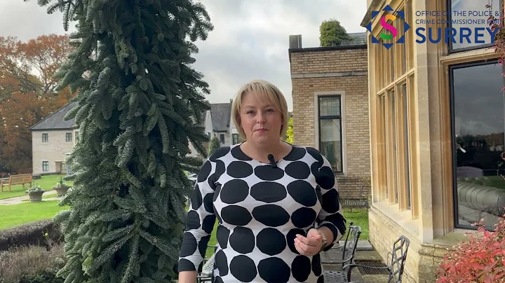 Surrey's Commissioner marks the UN's International Day for the Elimination of Violence Against Women