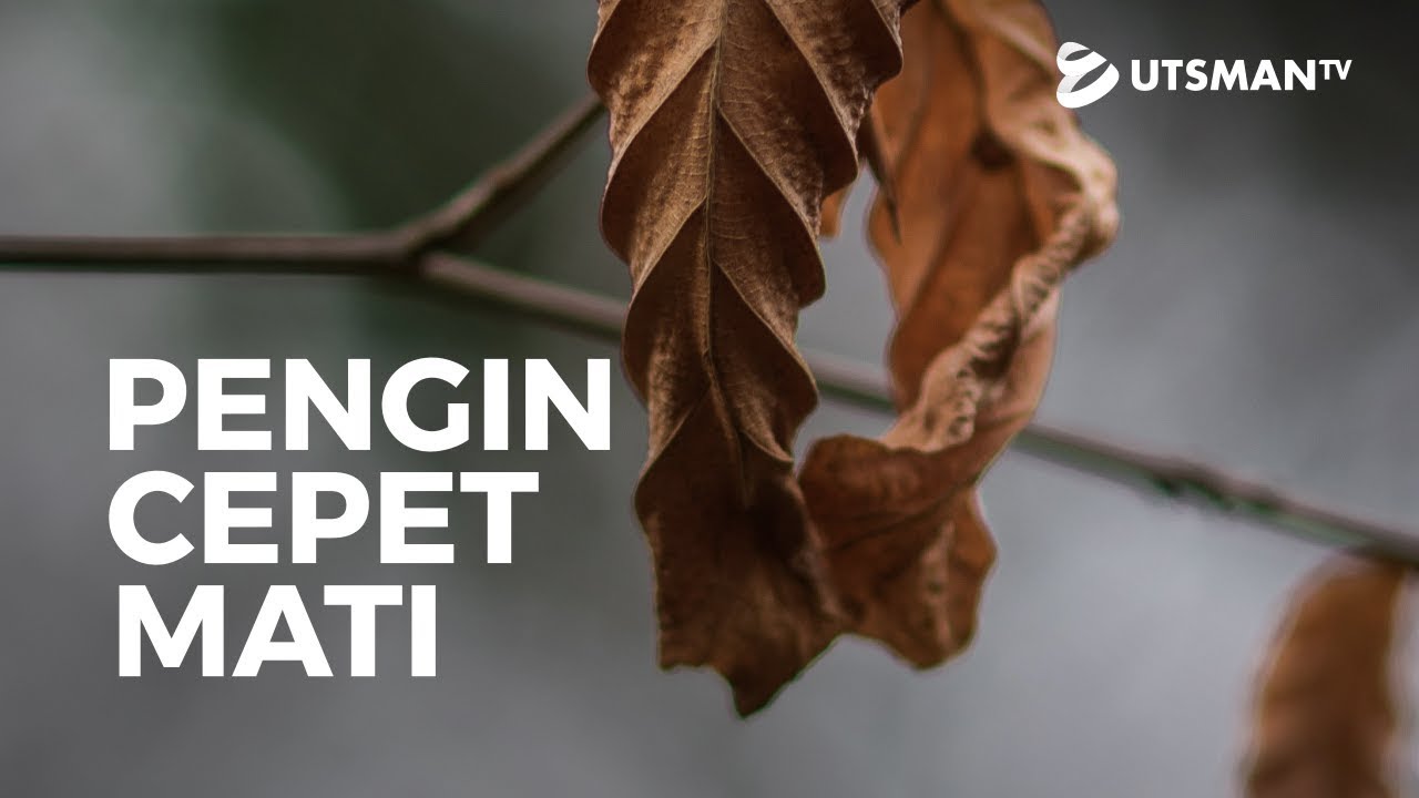 Kajian Islam - Pengin Cepet Mati - Ustadz Abdullah Zaen, Lc., M.A.