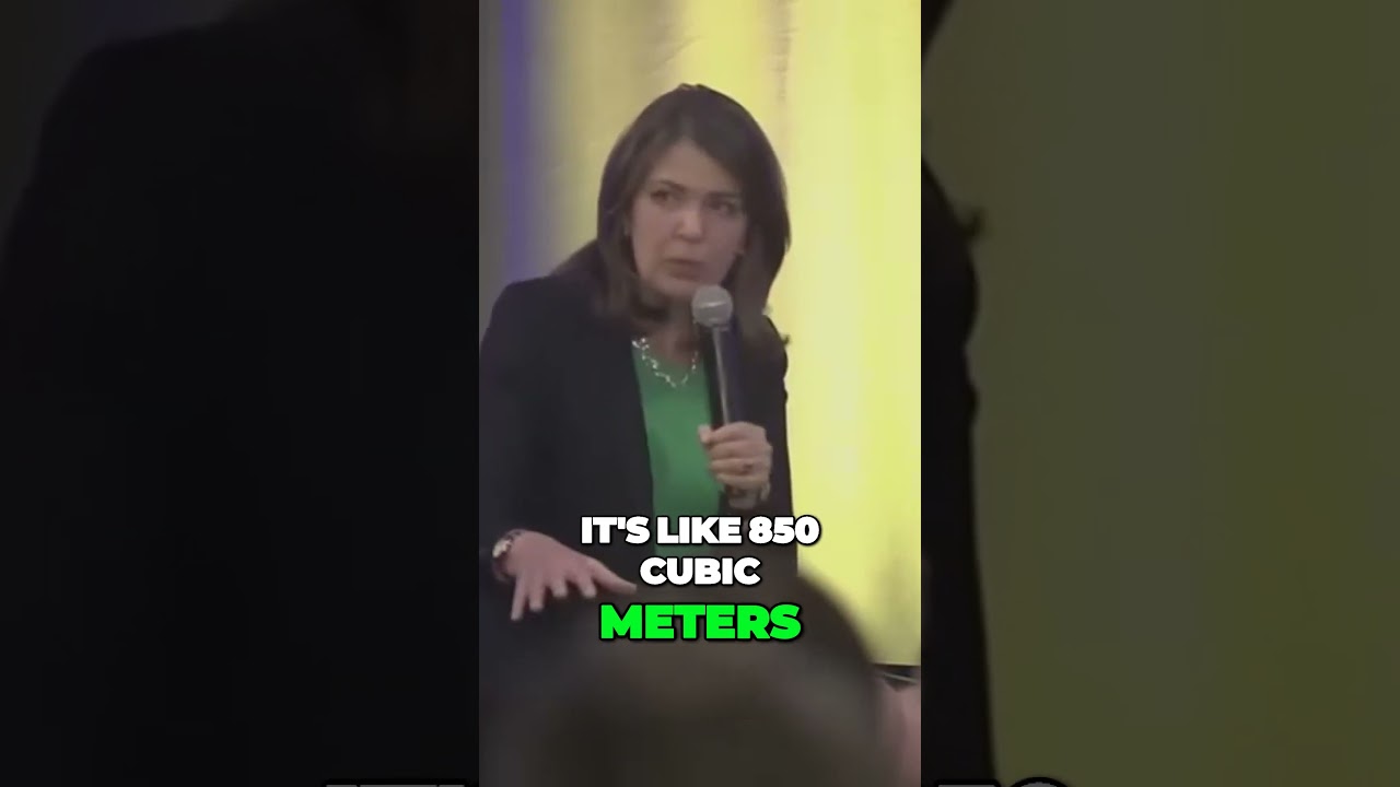 Hidden Cost of Wind Turbines Who Pays?