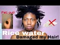 RICE WATER DAMAGED MY HAIR  *shedding + Breaking*  || IM DEVASTATED - 4C HAIR ||  TheChelseaOshow