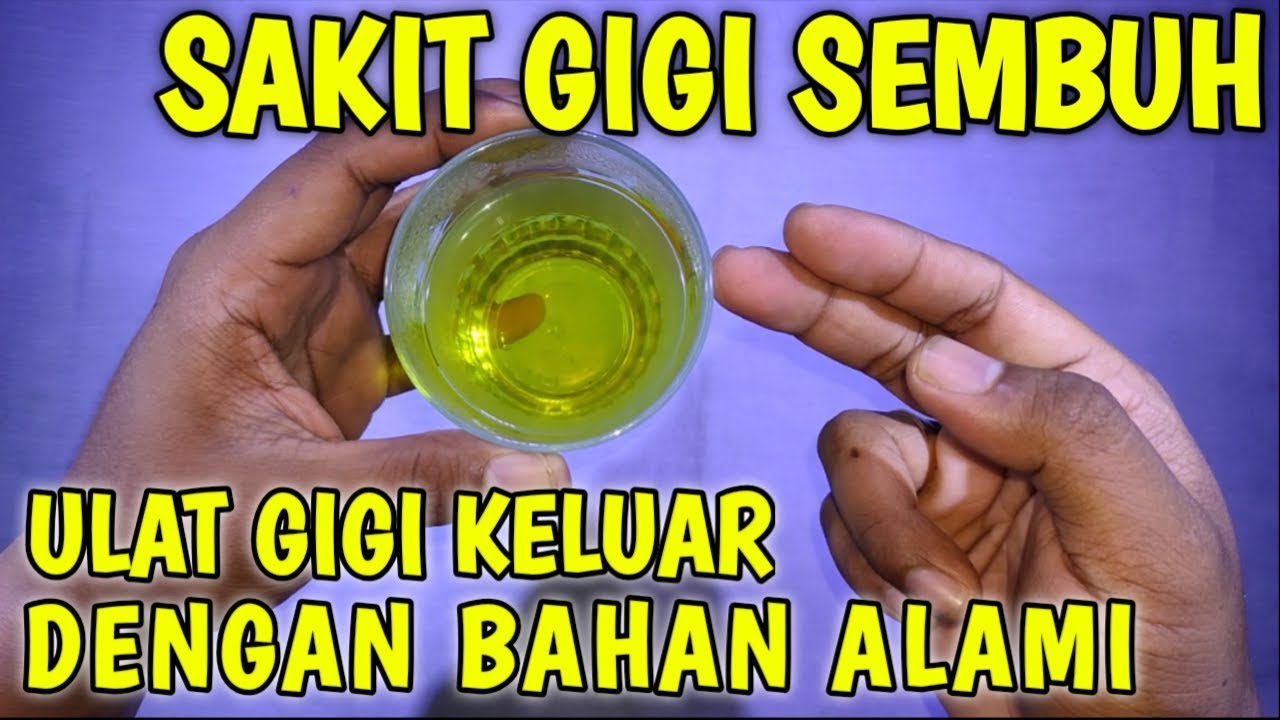 Alhamdulillah!! Cara mengobati sakit gigi dan mengeluarkan ulat gigi