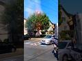 Terrifying Moment: Burning Tree Near Electric Wires - A Dangerous Combination Caught on Camera
