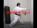 空手の突き うねりを使う