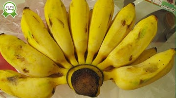 ✅Người Tiểu Đường Ăn Chuối Vào Thì Đường Huyết Tăng Lên Bao Nhiêu?