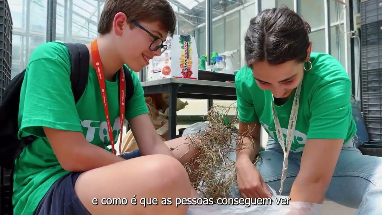 Oeiras Experimenta | Impetus 2026 (PT)