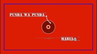 Punda wa Punda_ Maria