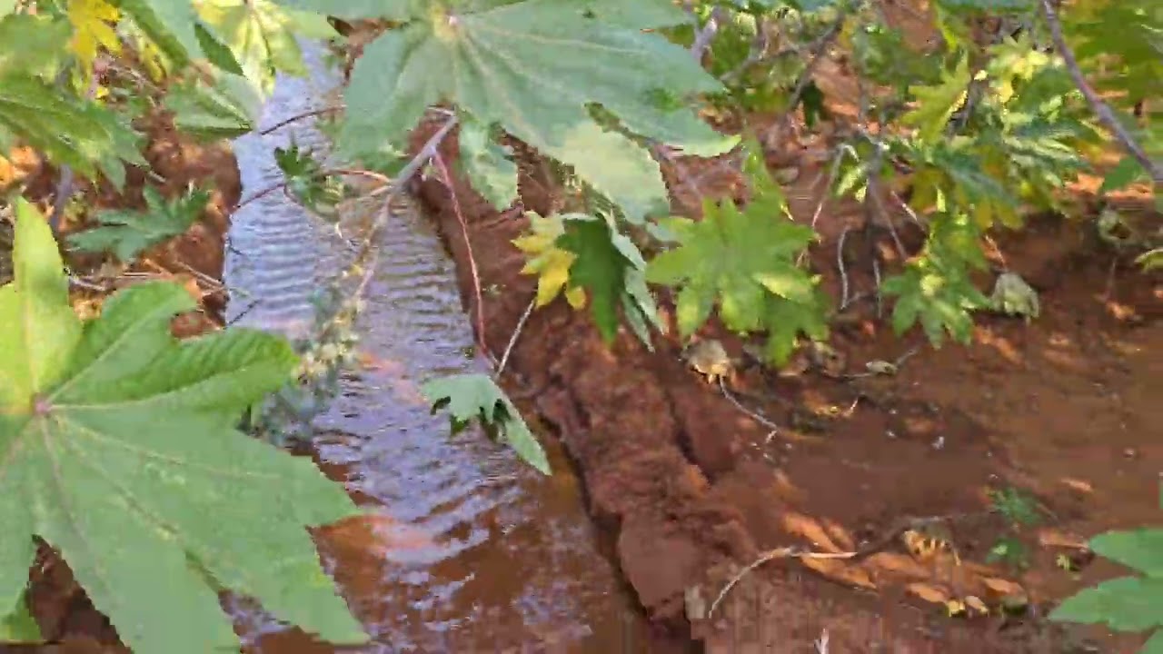 આજે તો આખો દિવસ પાણી વાળવું પડું 