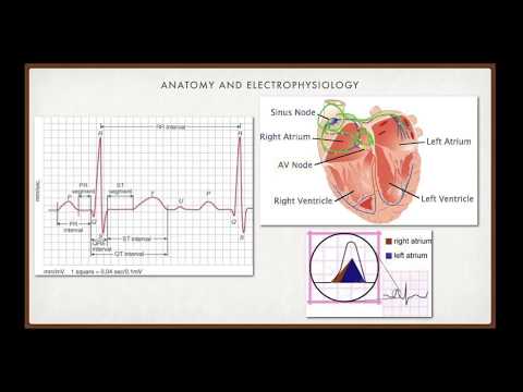 Education Portal : EKG Interpretation