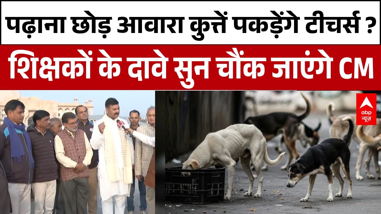 Rajasthan के शिक्षक पढ़ाने के साथ आवारा कुत्तों को पकड़ने का भी करंगे काम    | Breaking News
