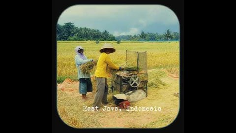 Tulungagung, East Java, Indonesia #Indonesia #travel #shorts #shortsvideo #shortvideo #youtube