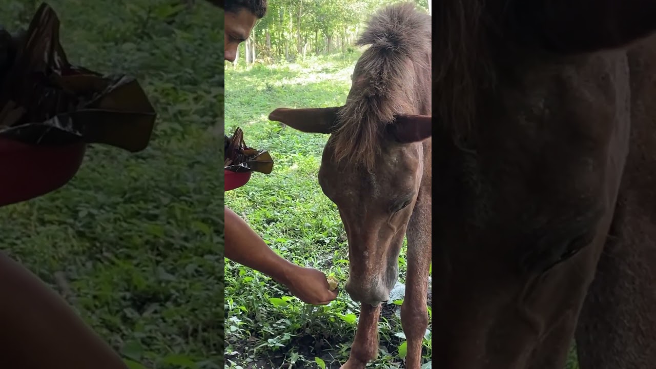 Bien gustoso en la comida 