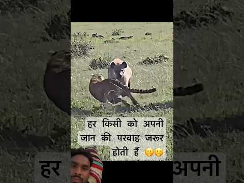 हर किसी को अपनी जान की परवाह जरूर होती हैं 🫢🫢#youtubeshorts #shortvideo #millionsubscribers