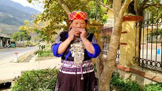 Maim Yaj Kwv Txhiaj Thiab Tshuab Ncas Zoo Heev.19122021