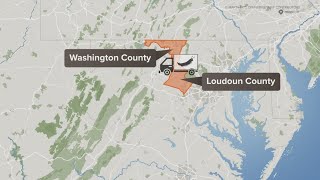 Garden Smart: Be on guard against the Box Tree Moth