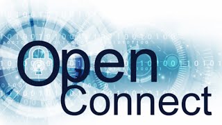 how to make config file for any VPN 2023 🔥🔥|| dox VPN file || open VPN file || Vincss file  etc screenshot 4