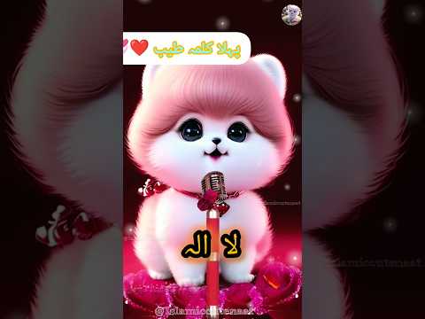 کلمہ طیب کی خوبصورت نعت دل کو چھو لینے والی ویڈیو      