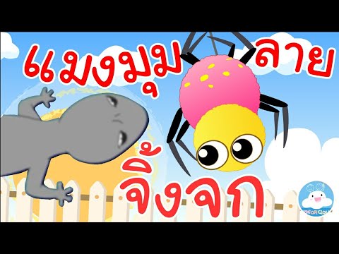 เพลงจิ้งจก & เพลงแมงมุมลาย เพลงเด็กน้อยวัยอนุบาล @KidsOnCloud