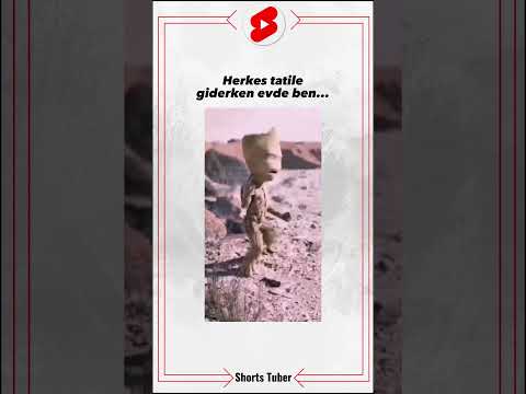 HERKES TATİLE GİDERKEN
