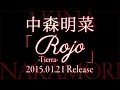 中森明菜/Rojo -Tierra-(ロホ ティエラ)