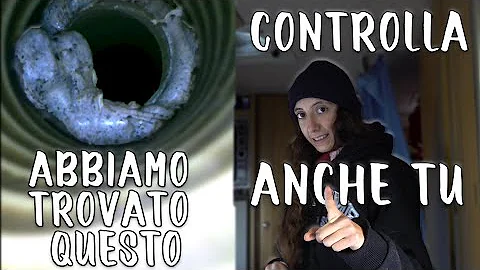 Che cosa si trova dentro il serbatoio?
