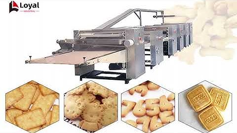 Automatic hard biscuits production line/The process of soft biscuits making machine