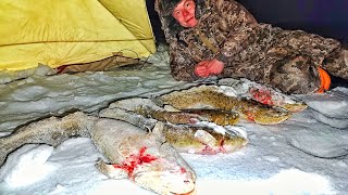 видео: БЕДА! А НЕ РЫБАЛКА! ИХ НЕ БЫЛО ДЕСЯТЬ ЛЕТ!! ЗАПОЛЯРНАЯ РЫБАЛКА 2025!!! картинка: БЕДА! А НЕ РЫБАЛКА! ИХ НЕ БЫЛО ДЕСЯТЬ ЛЕТ!! ЗАПОЛЯРНАЯ РЫБАЛКА 2025!!!