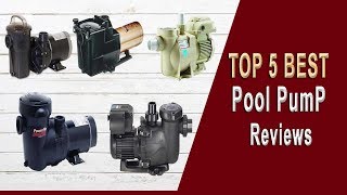 Top 5 Best Pool Pump in 2023 | Best Pool Pump on the Market