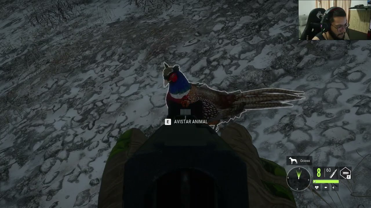 TheHunter Call of the Wild  Bug!