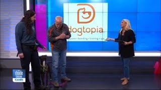 Cranston Animal Shelter and Dogtopia - The Rhode Show