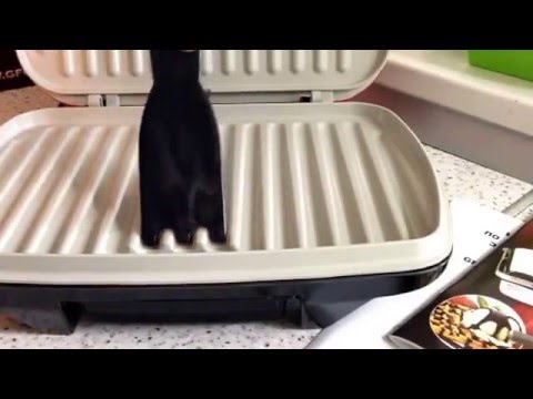 Гриль Gfgril GF-070 БИО КЕРАМИКА