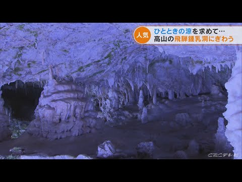 「涼しくて幸せ」真夏でも10℃ 観光客が涼を求めて… 北アルプスのふもと 飛騨大鍾乳洞　岐阜・高山市(2022/8/23)