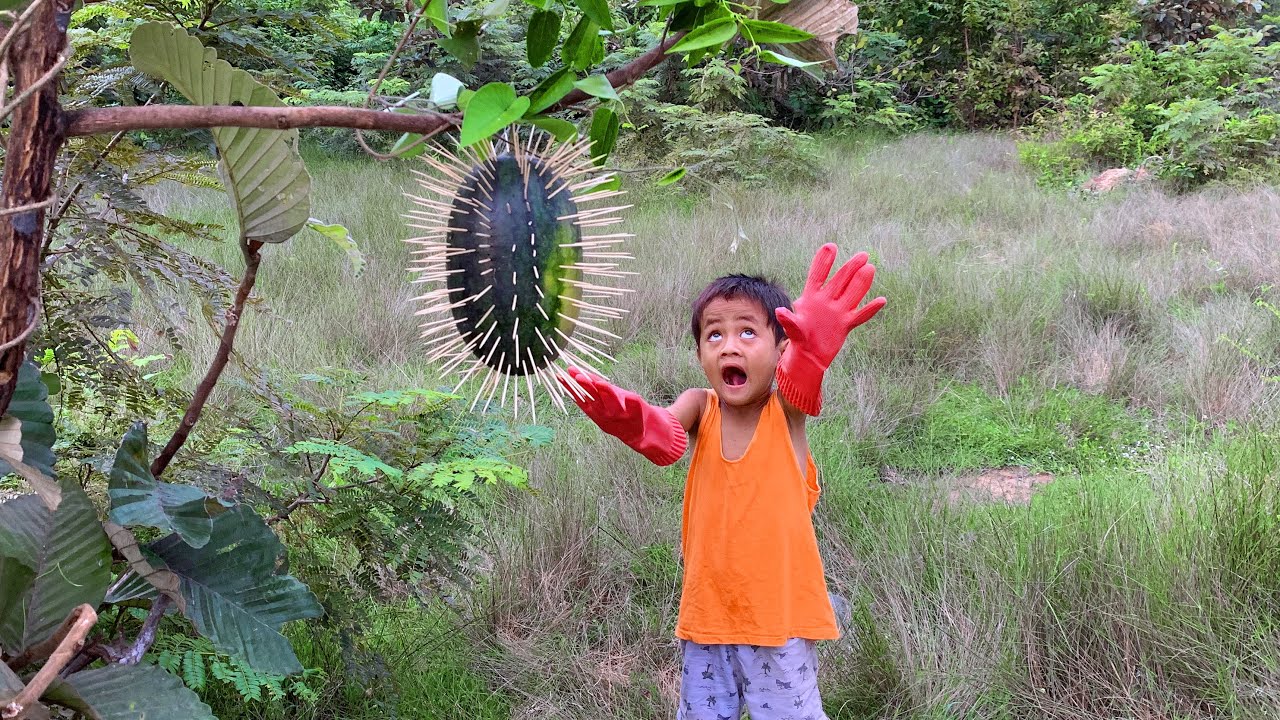 Навыки жизни на природе в лесу: простые, но очень полезные #на природе #выживание #выживание в ле...